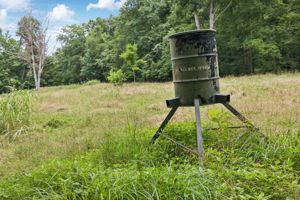  Photo 47