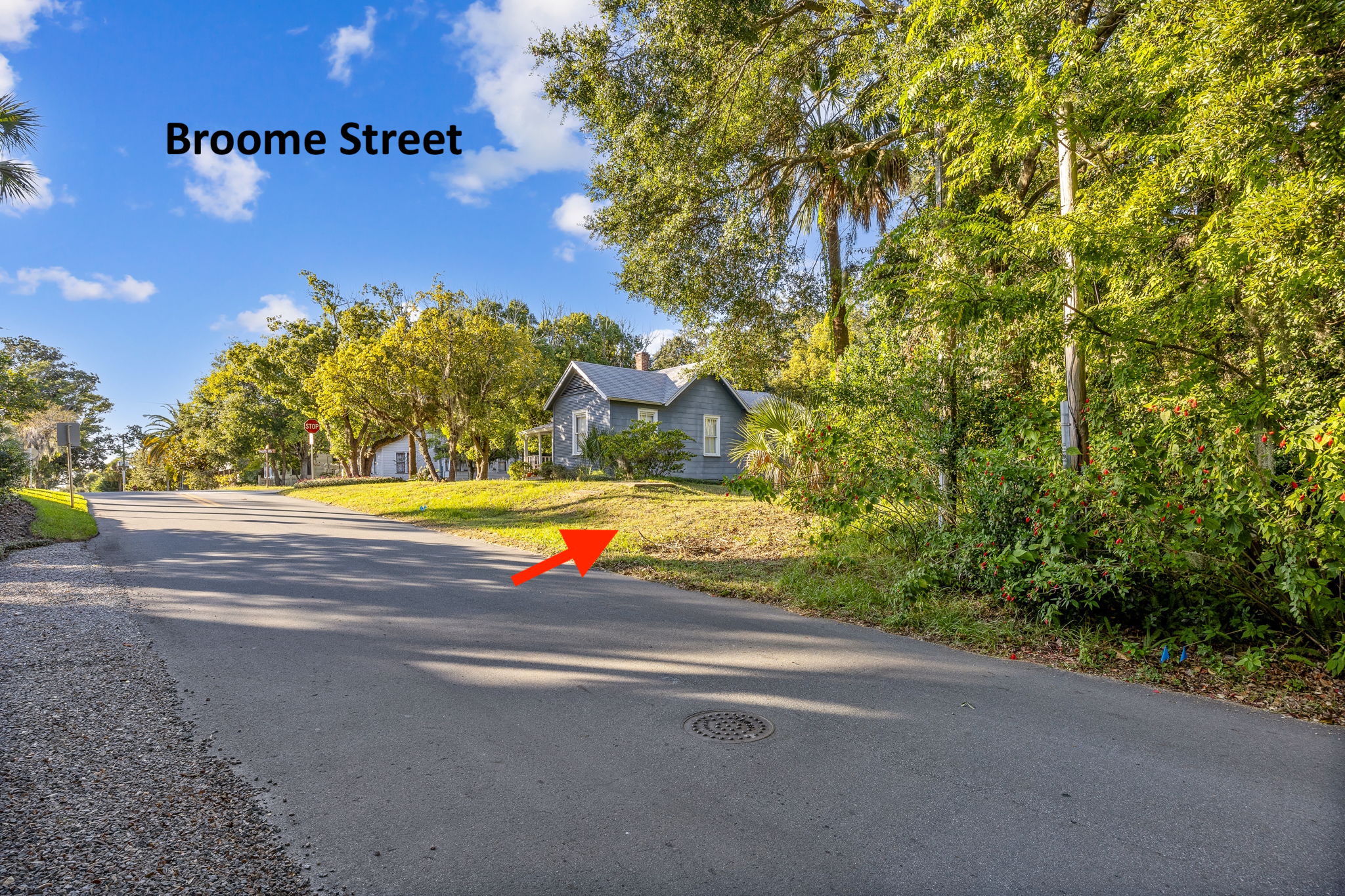 ... with a desirable "country in the city" feel to the street.