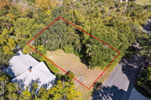 The lot is sprinkled with native palms and coastal vegetation