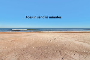 ... explore why Amelia Island has won awards for its beaches and historic downtown.