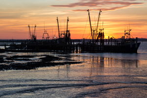 Walk to amazing sunsets on the Fernandina harbor ...