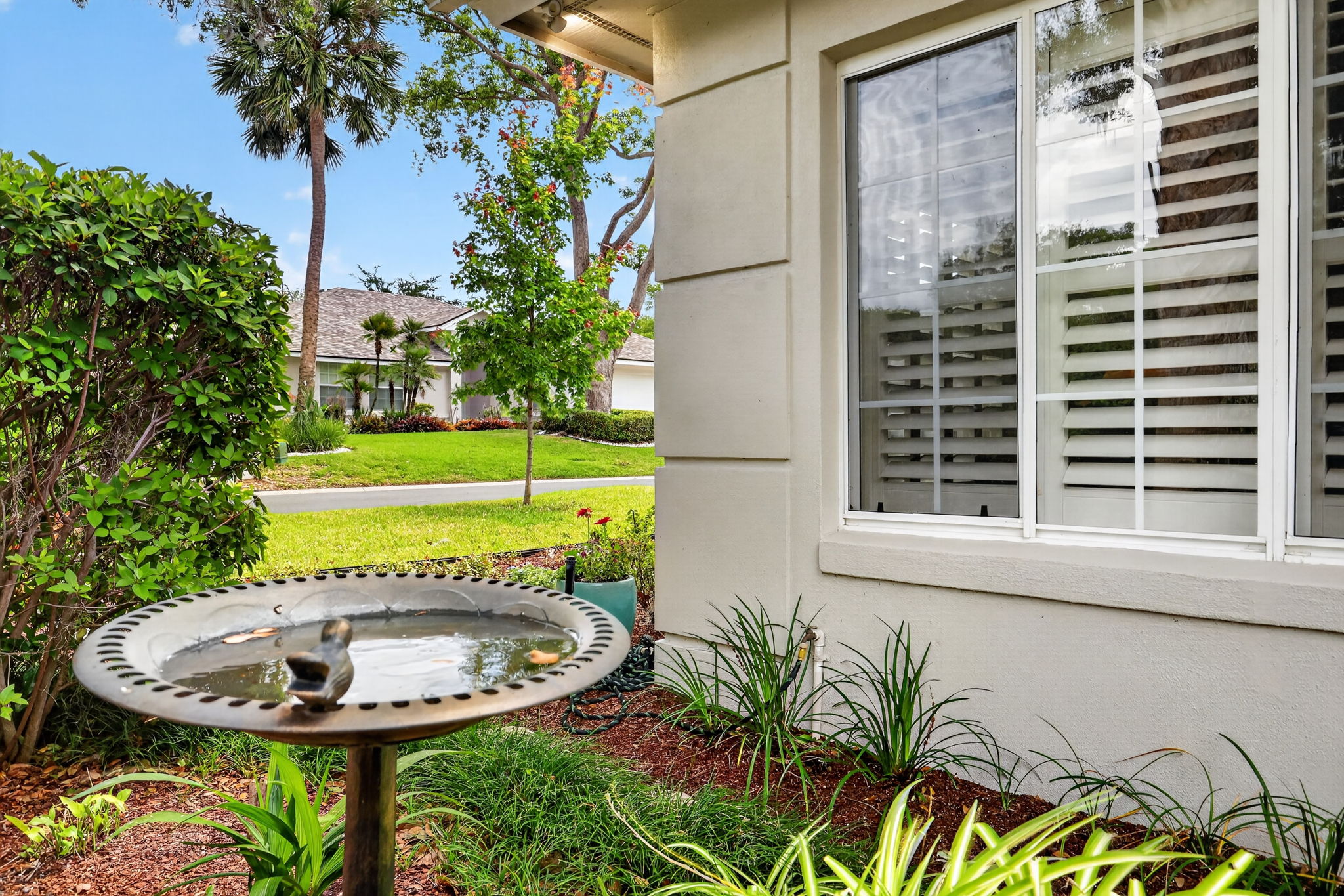 Songbirds aplenty in High Point