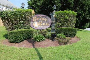 Briar Run1