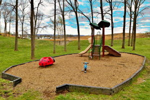 COMMUNITY PARK 
