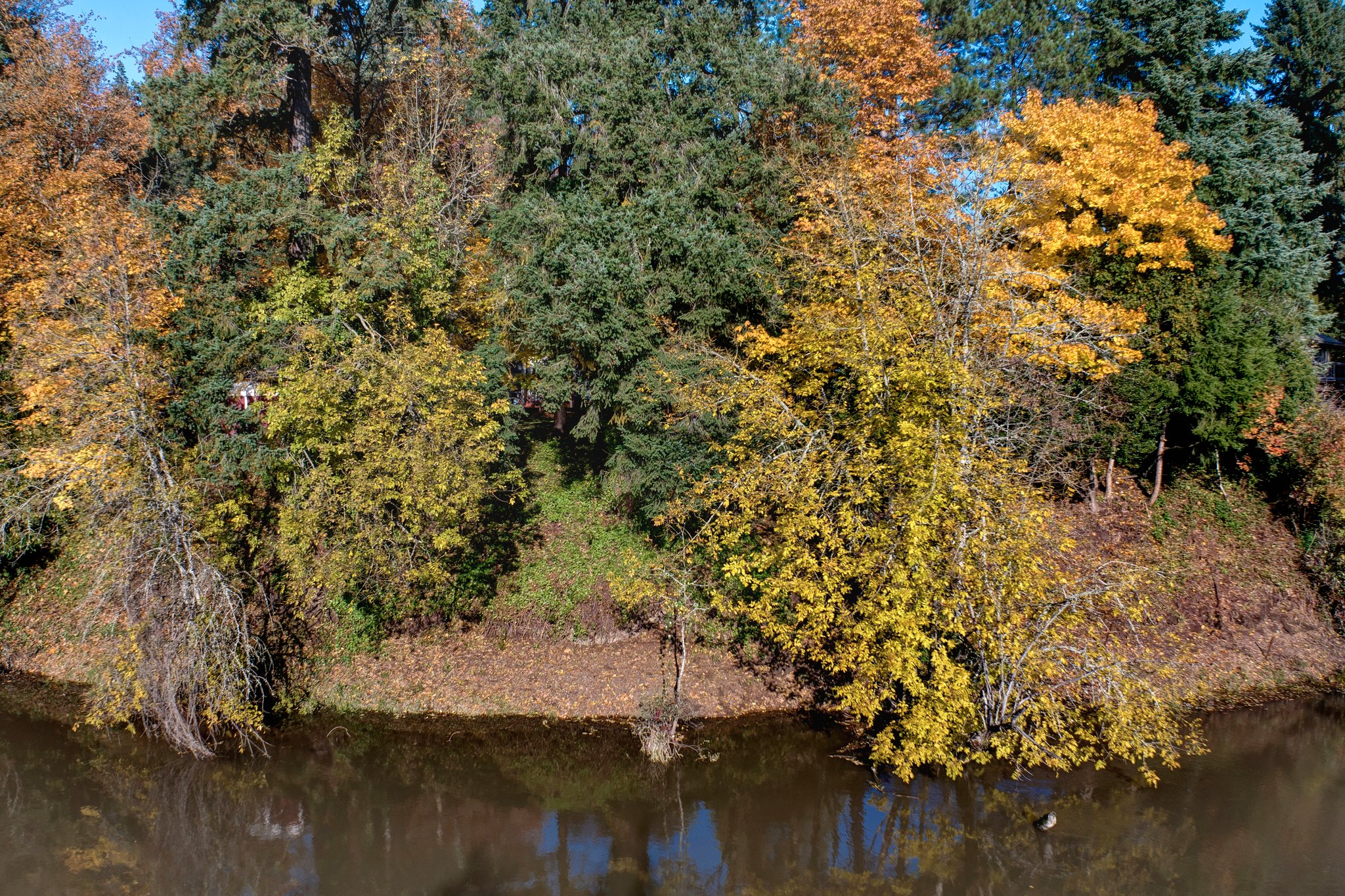  Photo 45