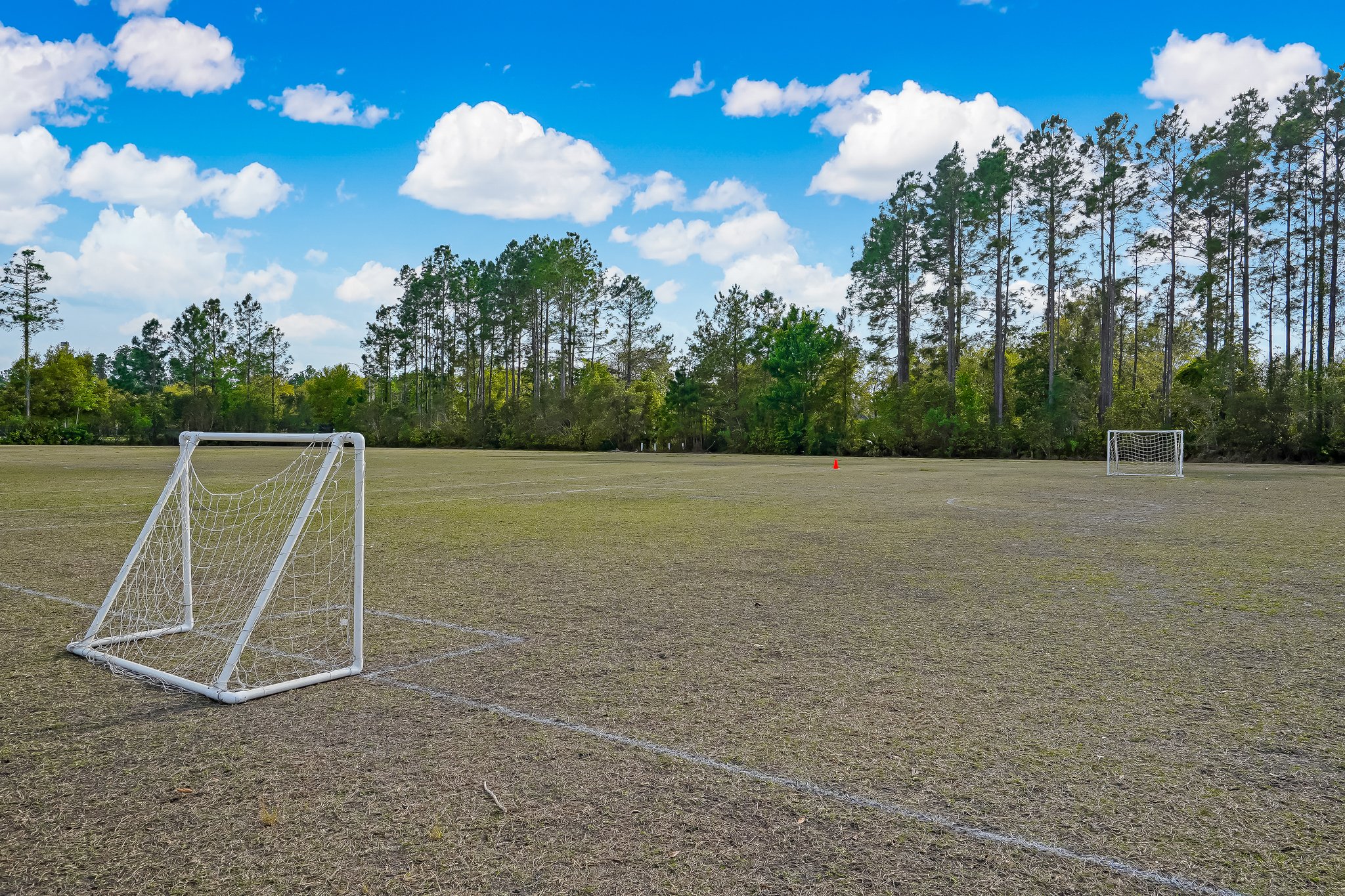 Bartram Springs