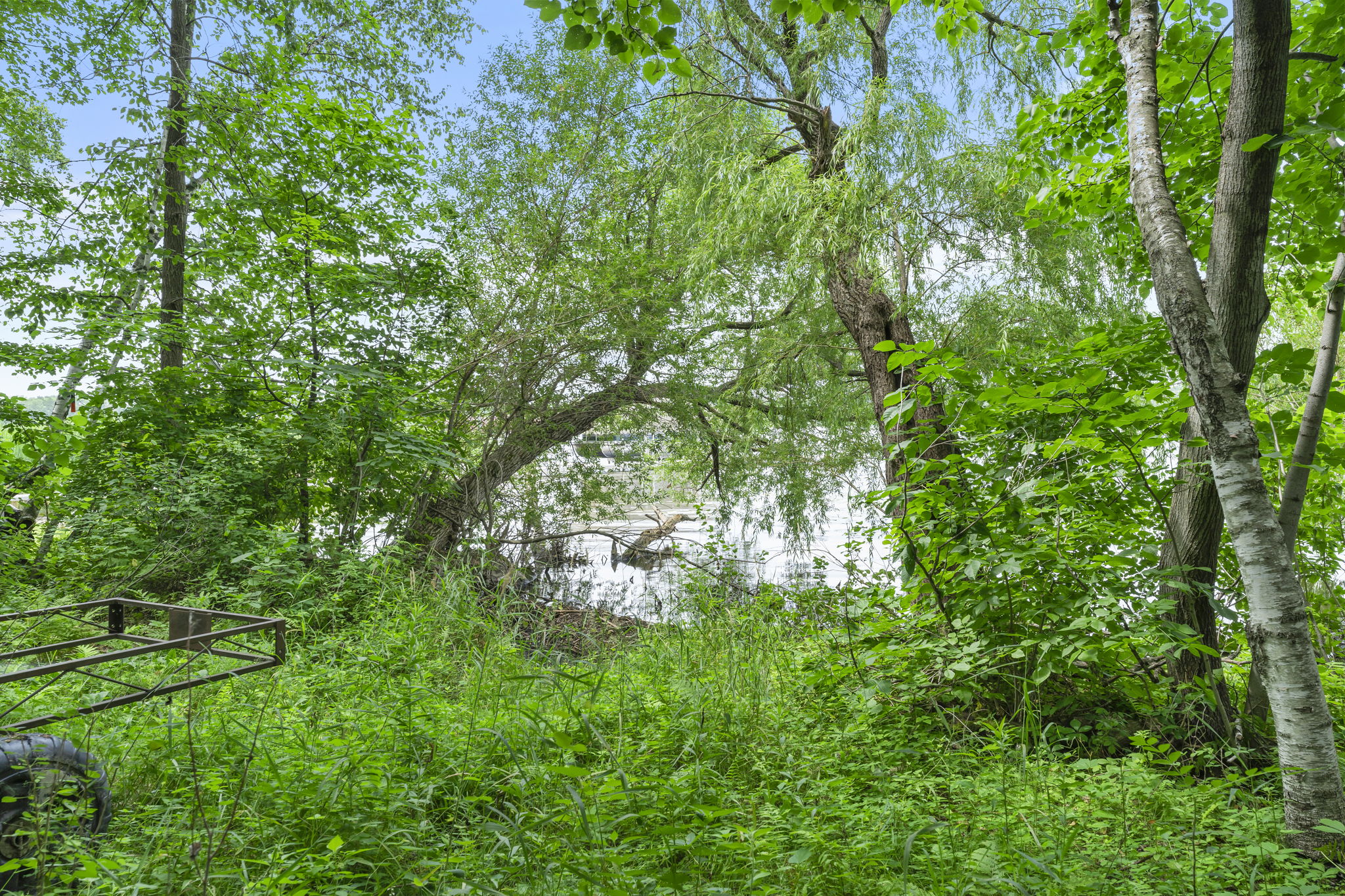  Photo 46