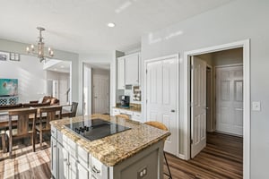 Catlin Ln-S3001-027.jpg