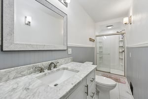 Chestnut St-S0809-021.jpg