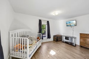 Chestnut St-S0809-028.jpg