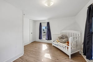 Chestnut St-S0809-030.jpg