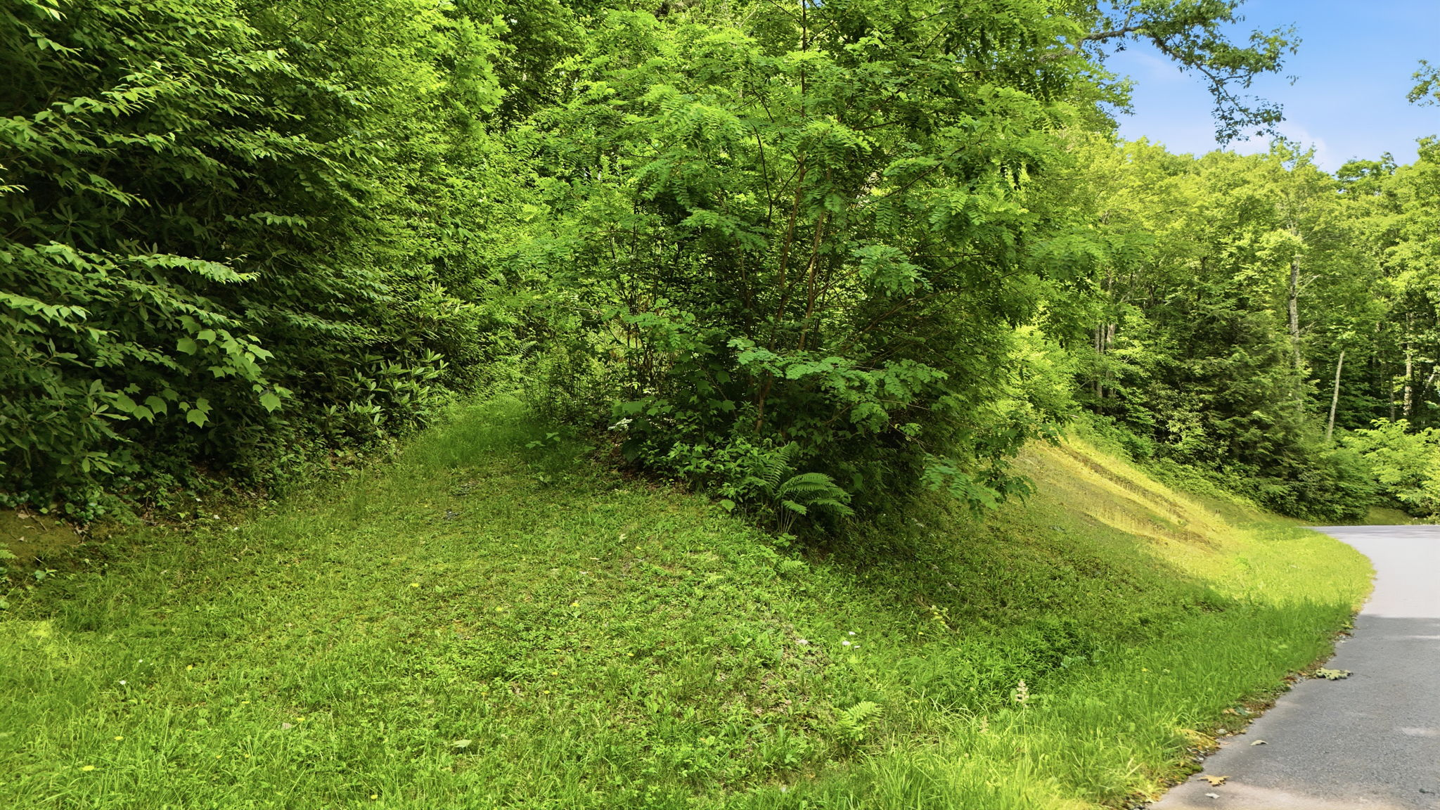 DJI_20260626232556_0506_D