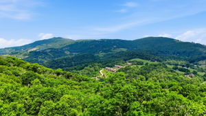 DJI_20260626233913_0557_D
