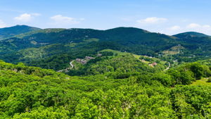 DJI_20260626234032_0566_D