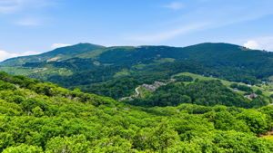 DJI_20260626234142_0572_D