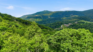 DJI_20260626234253_0581_D