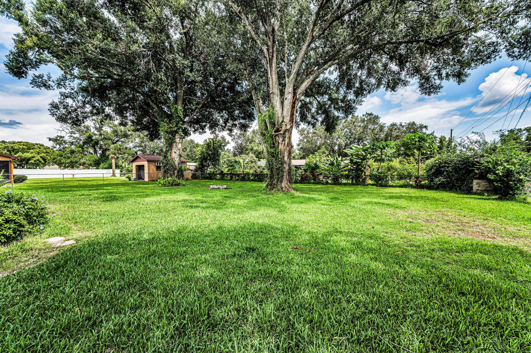 Backyard1