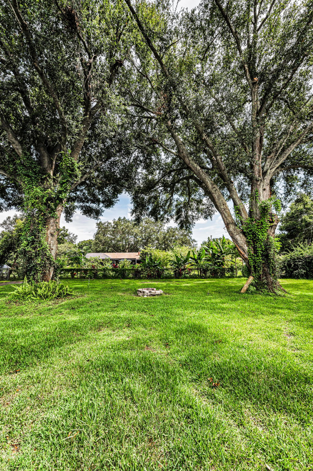 Backyard8