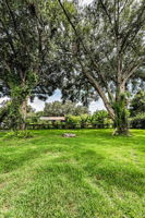 Backyard8