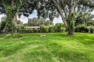 Backyard9