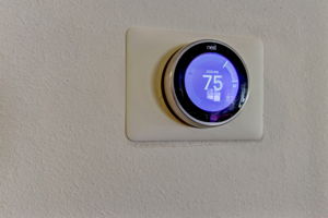 Nest System