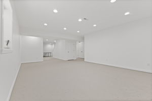 Basement Family Room