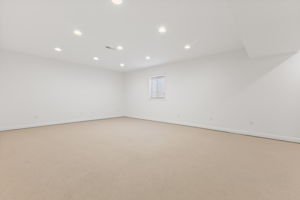 Basement Family Room