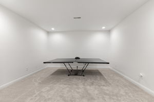 Finished Basement