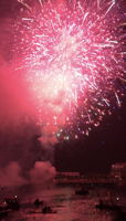  Photo 49