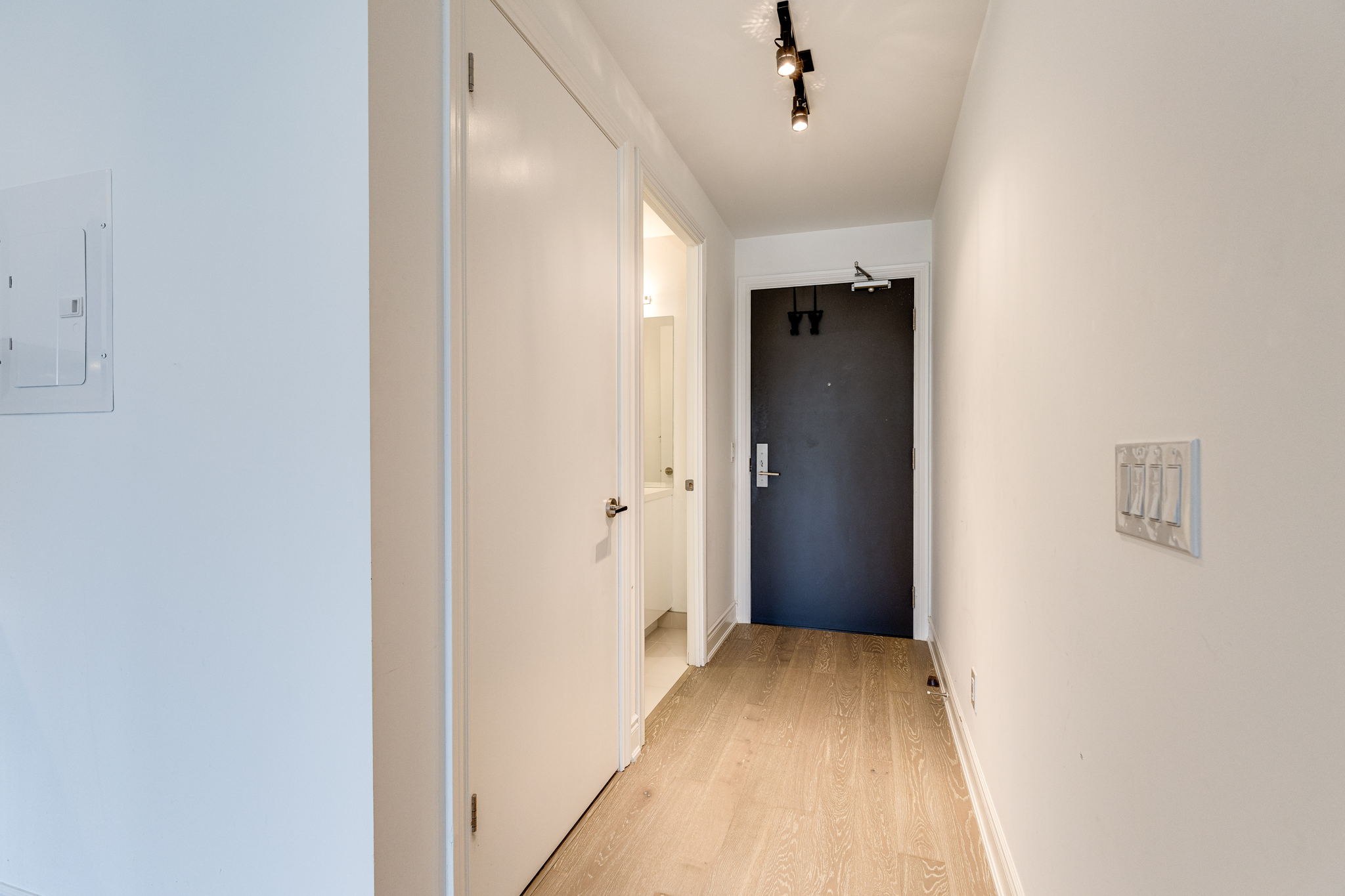Toronto property showcase — delivered property photograph 18