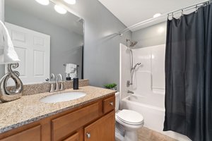  Photo 43