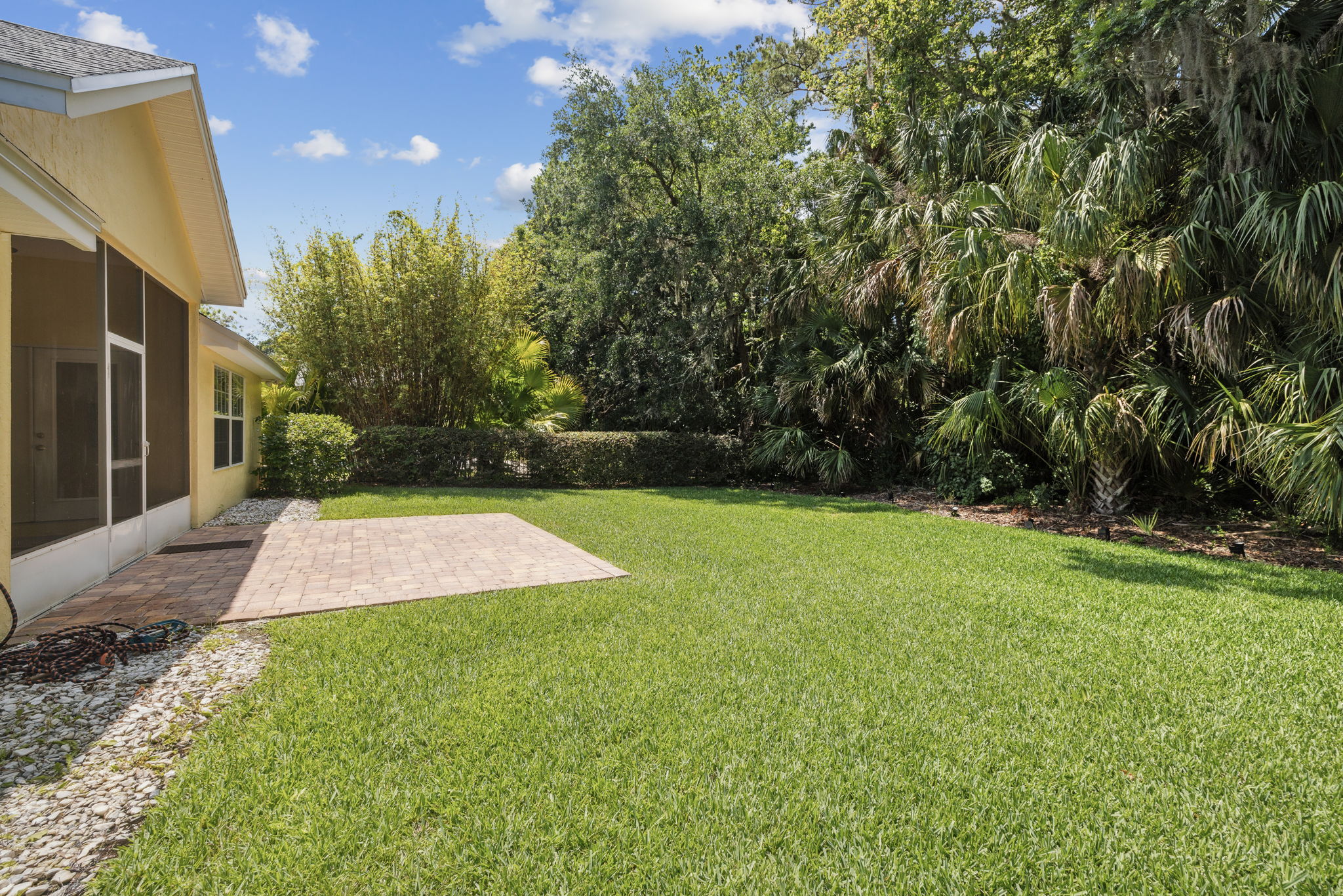 Backyard
