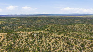 Aerial 5