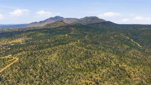 Aerial 4