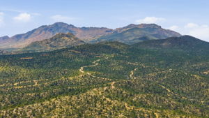 Aerial 6