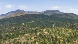 Aerial 7