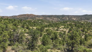 Lot Photo 7