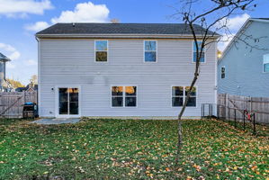  Photo 47
