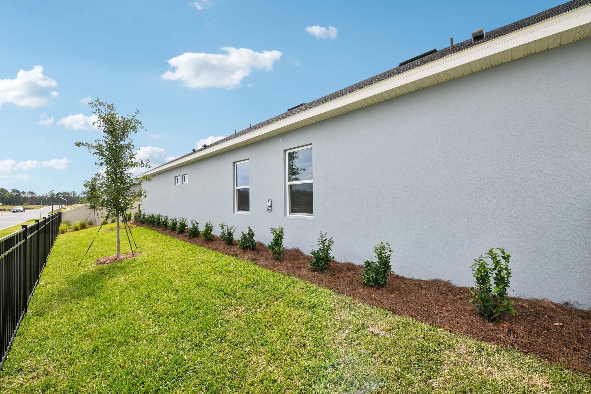 Sacred Oak Ave-2304-039.jpg