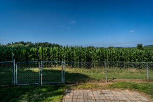  Photo 51