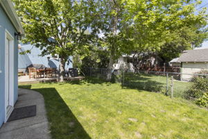  Photo 47
