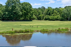  Photo 89