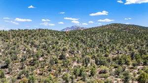 Lot Photo (3)