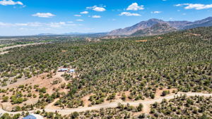 Aerial (3)
