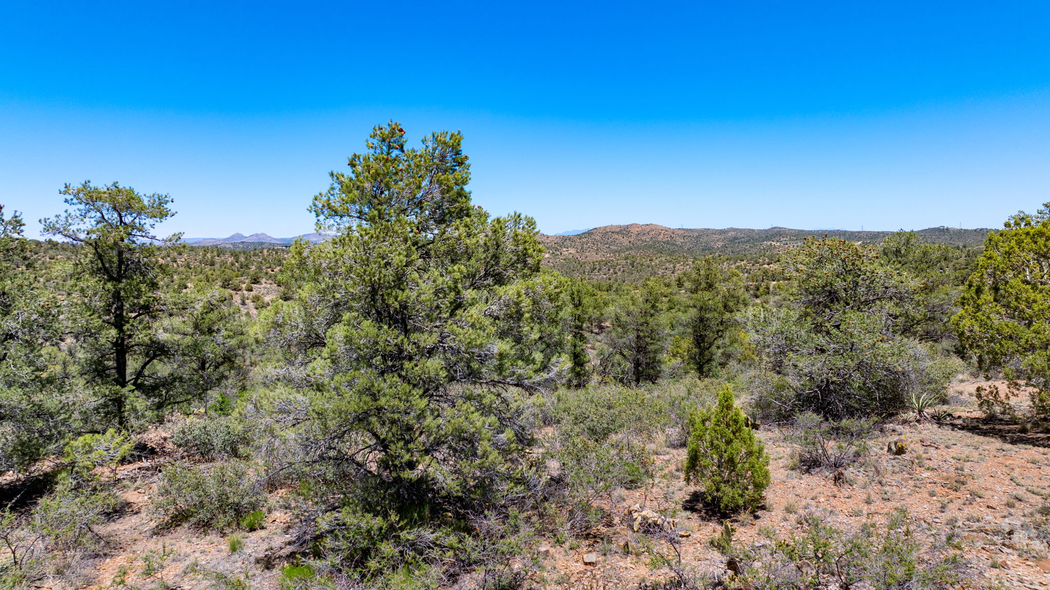 Lot Photo (1)