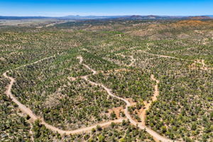 Aerial (1)