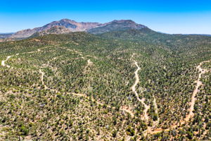 Aerial (3)