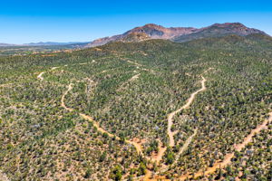 Aerial (4)