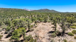 Lot Photo (3)