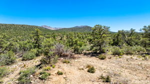 Lot Photo (4)
